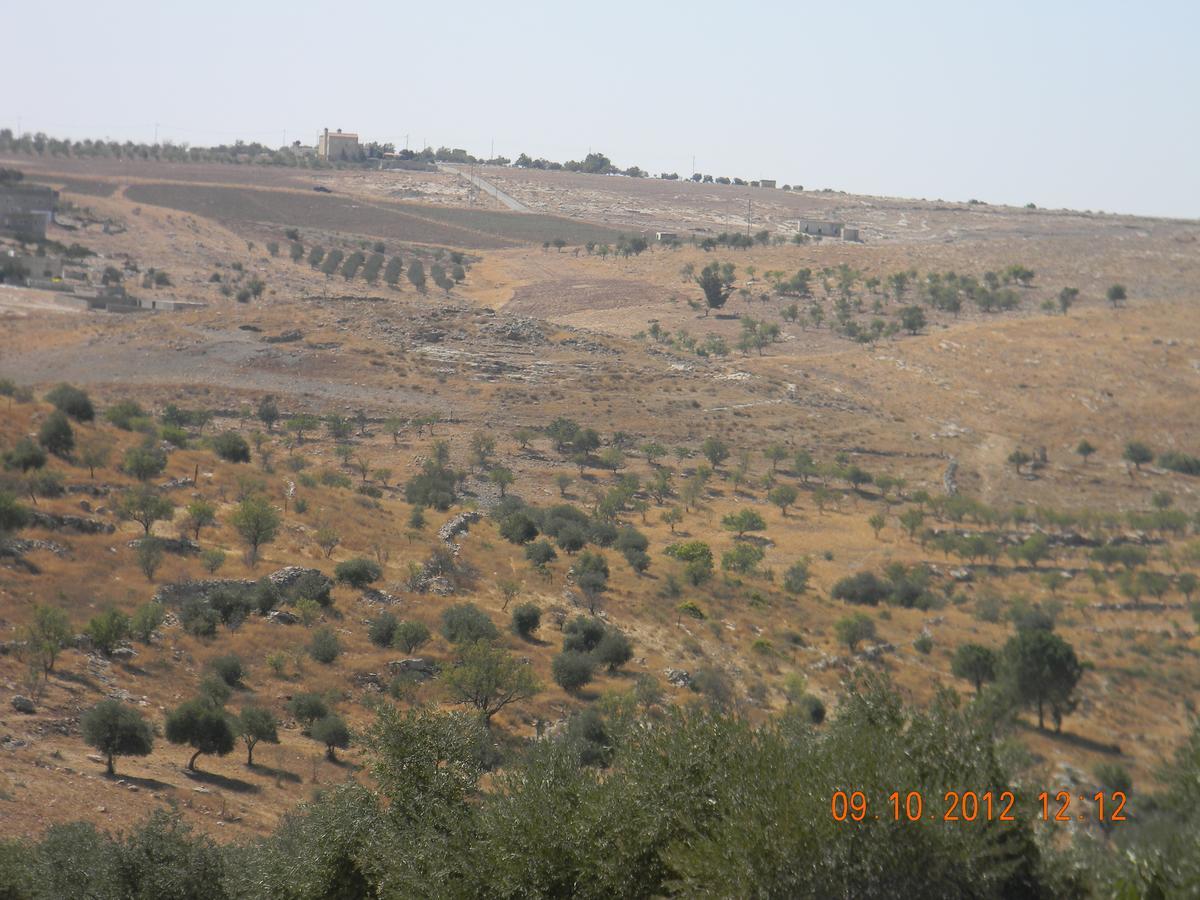 Town Of Mount Nebo Villa Madaba Kültér fotó