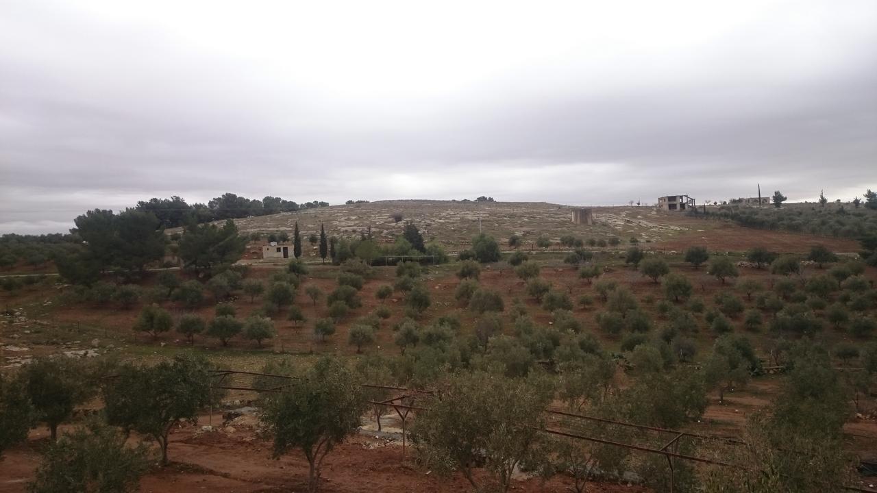 Town Of Mount Nebo Villa Madaba Kültér fotó