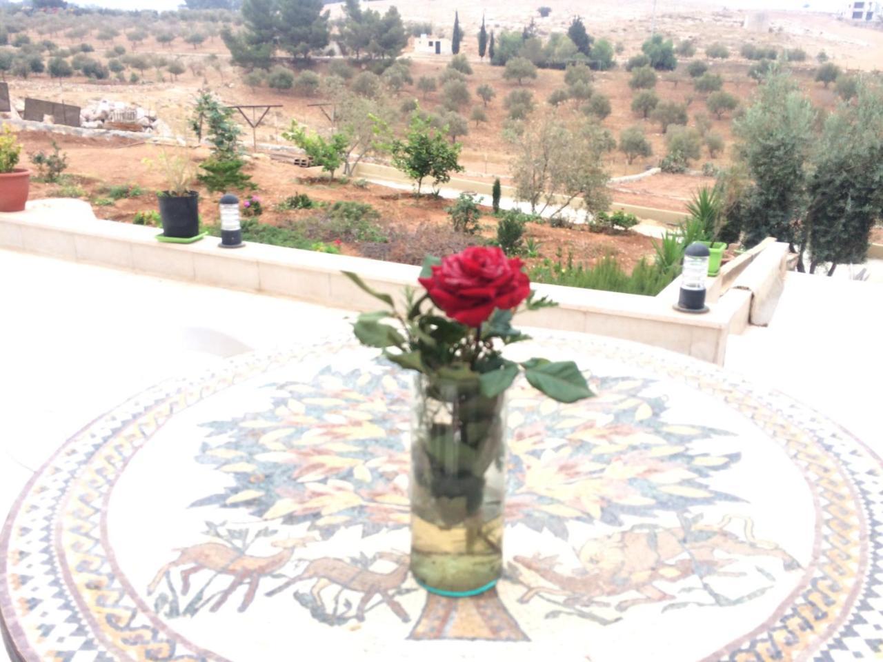 Town Of Mount Nebo Villa Madaba Kültér fotó